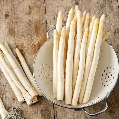 🌿Four Seasons Asparagus Mary Washington Seeds – Sprouts in 7 Days • Ready to Harvest in 20 Days
