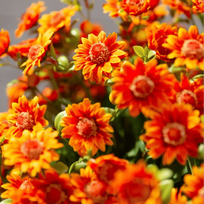 🔥Last Day 49% Off- 🌼Artificial Outdoor Sunset Mums Flowers