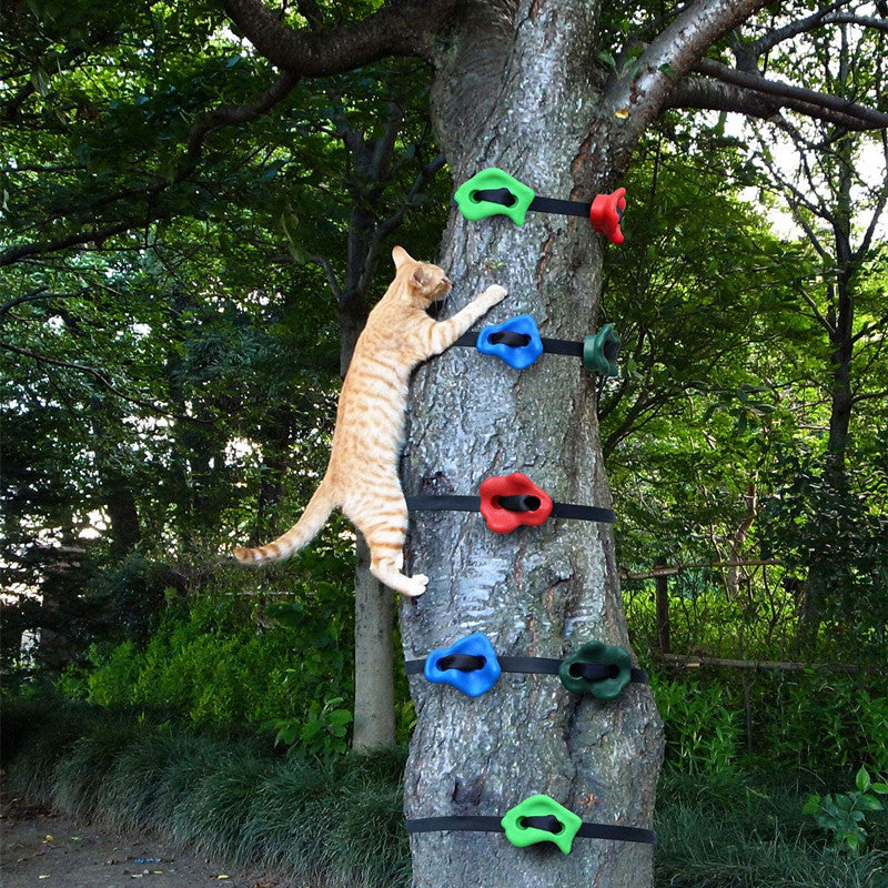 🔥 65K+ SOLD! - Tree Climbing Holds for Kids Climber - FREE SHIPPING