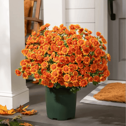 🔥Last Day 49% Off- 🌼Artificial Outdoor Sunset Mums Flowers