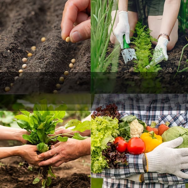 🔥Last Day 49% OFF🥒🍅Vegetable Seed Vault Kit | 35 Variety Pack