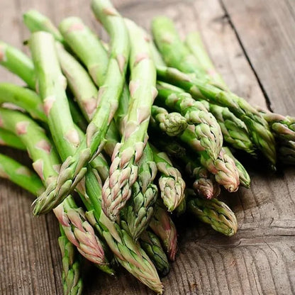 🌿Four Seasons Asparagus Mary Washington Seeds – Sprouts in 7 Days • Ready to Harvest in 20 Days