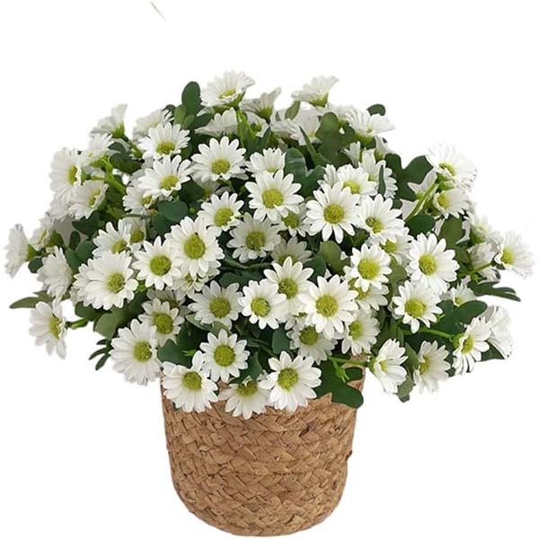 🔥Last Day 49% Off- 🌼Artificial Outdoor Sunset Mums Flowers