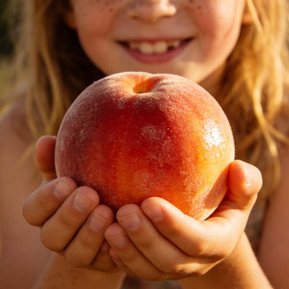 🔥 65K+ SOLD! 🍑 Heirloom "Honey Red" Dwarf Peach Tree Live Seeds
