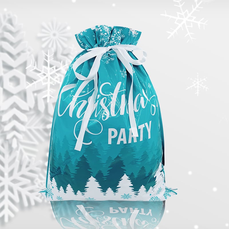 🎁Today Only 49% Off - Easy Christmas Gift Bag & Tag Set