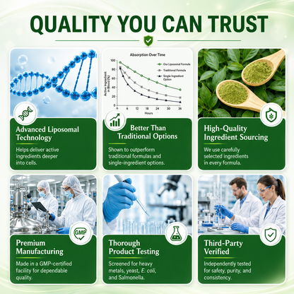 𝐄𝐥𝐨𝐰𝐲𝐧𝐚® 𝐎𝐟𝐟𝐢𝐜𝐢𝐚𝐥 𝐔𝐒 𝐒𝐭𝐨𝐫𝐞 🇺🇸 | 🧑‍⚕️🩺 𝐌𝐨𝐫𝐢𝐧𝐠𝐚 · 𝐁𝐞𝐫𝐛𝐞𝐫𝐢𝐧𝐞 × 𝐍𝐀𝐃+ 𝟏𝟎-𝐢𝐧-𝟏 𝐀𝐝𝐯𝐚𝐧𝐜𝐞𝐝 𝐍𝐚𝐧𝐨 𝐌𝐢𝐜𝐫𝐨𝐧𝐞𝐞𝐝𝐥𝐞 𝐏𝐚𝐭𝐜𝐡 — 𝐎𝐧𝐜𝐞 𝐃𝐚𝐢𝐥𝐲, 𝐕𝐢𝐬𝐢𝐛𝐥𝐞 𝐒𝐮𝐩𝐩𝐨𝐫𝐭 𝐢𝐧 𝟕 𝐃𝐚𝐲𝐬