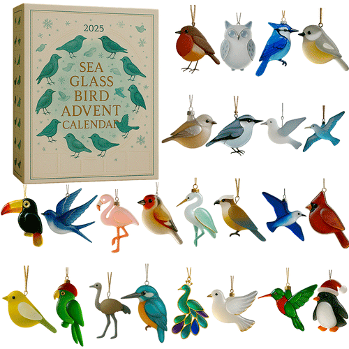 LAST DAY 50% OFF--🐦2D Bird Advent Calendar 2025