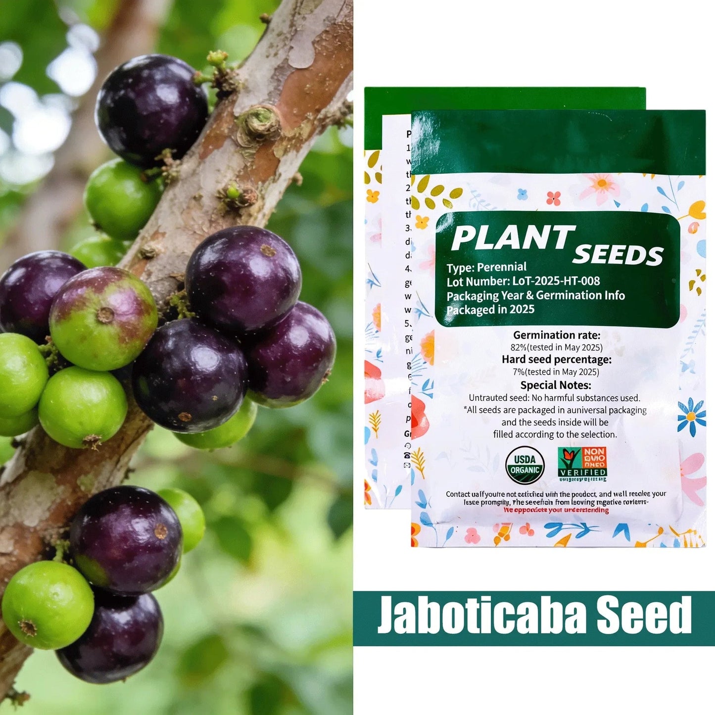 🔥 65K+ SOLD! 🍇Jaboticaba Exotic Fruit Plant Seeds for Home Garden