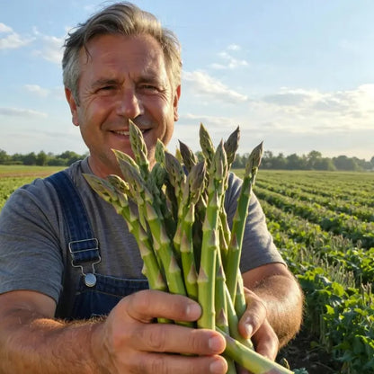 🌿Four Seasons Asparagus Mary Washington Seeds – Sprouts in 7 Days • Ready to Harvest in 20 Days