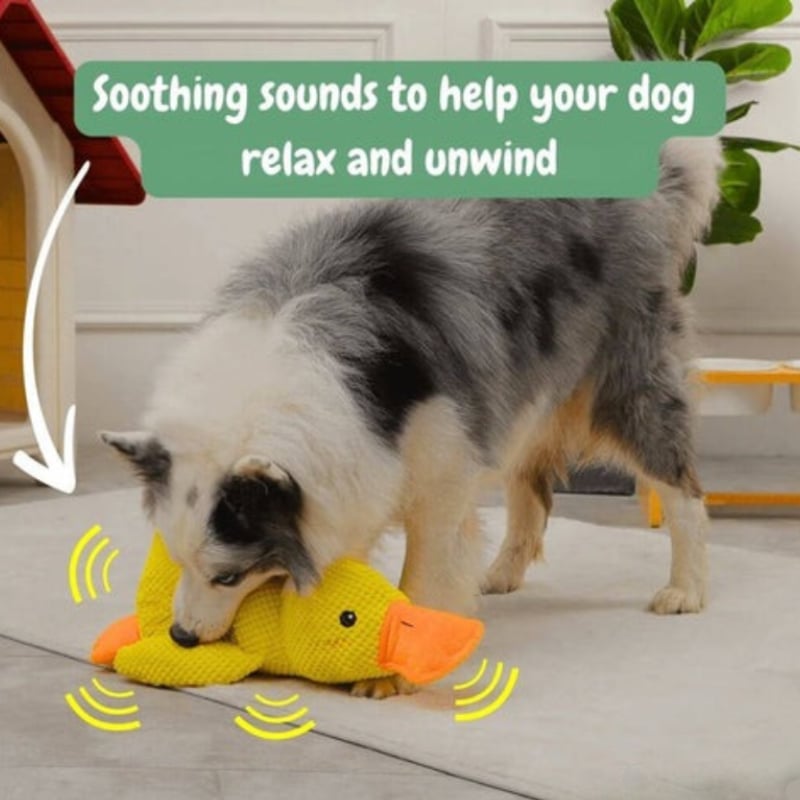 Quacking Crinkle Duck Comfort Calming Toy for Dog Separation Anxiety Proper Relief