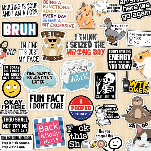 🔥 Set of 130 Pcs Funny Saying Stickers