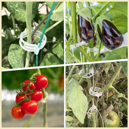 300Pcs Heavy-Duty Tomato Trellis Clips