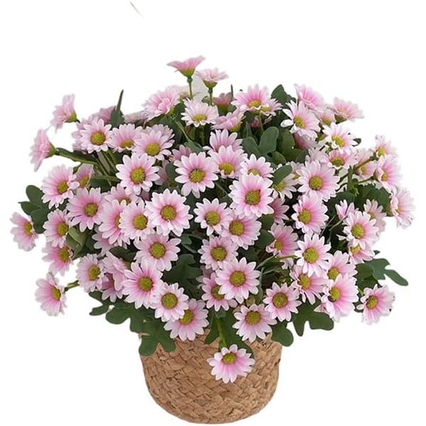 5 Bundles of Pink