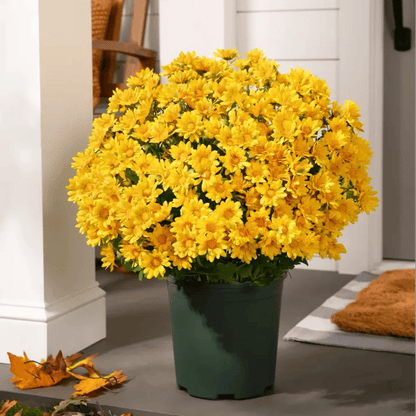 🔥Last Day 49% Off- 🌼Artificial Outdoor Sunset Mums Flowers