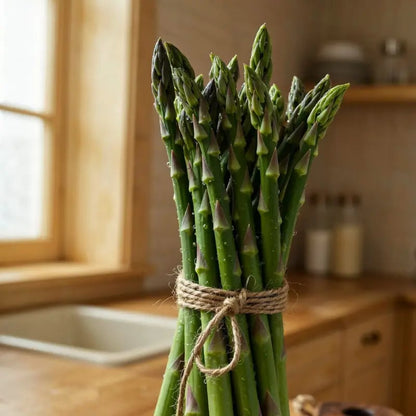 🌿Four Seasons Asparagus Mary Washington Seeds – Sprouts in 7 Days • Ready to Harvest in 20 Days